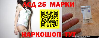 стафф Гай