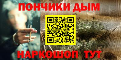 стафф Гай