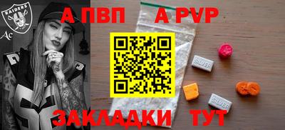 стафф Гай