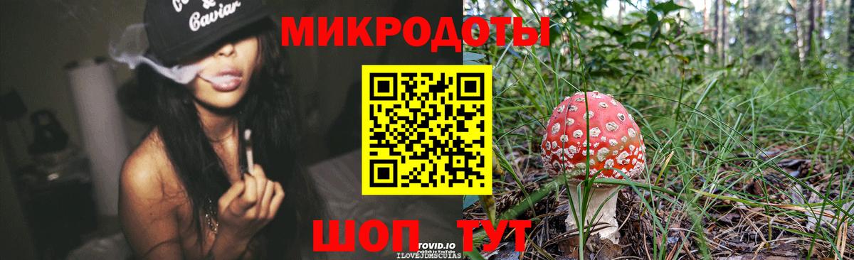 Псилоцибиновые грибы Psilocybine cubensis Набережные Челны